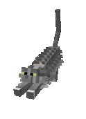 Gif example of updated cat model