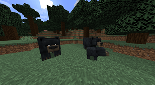 American Black Bears spawn in all Taiga Biomes except Snowy.png