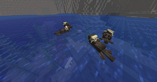 Sea Otters spawn in Cold Oceans.png