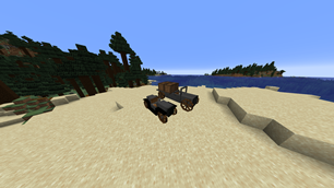 Car and Truck