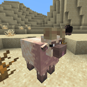 Warm - biome's sheep variant