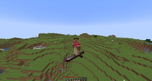 Sword Flight.jpg