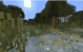 New Swamp Features