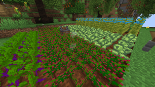 Captura de tela 2026-01-15 180014.png