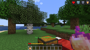 Regen Heart