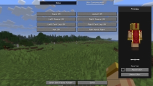 Skin Customization