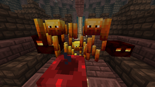 Blaze's with different health showcasing their texture differences, magma cubes behind them vary in texture depending on size