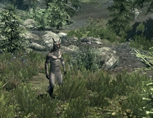 skyrim nude male mods