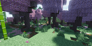 Captura de pantalla 2026-01-16 102512.png