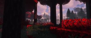 Crimson Forest