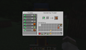 Buying a giant backpack