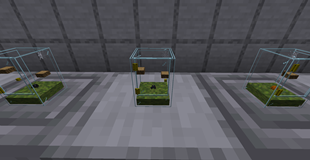 Terrarium