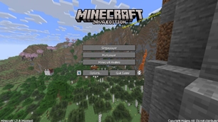 Ingame.jpg