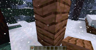 Affine Texture Mapping