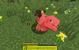 Custom Particles