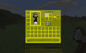 Custom inventory