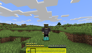 Custom Armor Bar