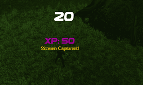 xp01.png