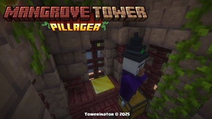 Mangrove Mud Tower Interior (2).jpg