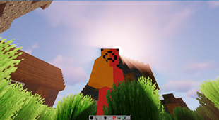 A Village