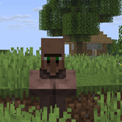 Villager in the village