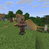 Another villager in the village