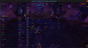 Raid Inspection.png