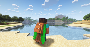 Compatibility with elytra!