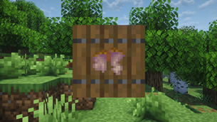 Broken Handcrafted Elytra