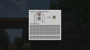 Elytra Repairing