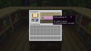 Enchanting Elytra