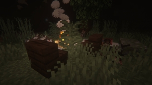 Camp