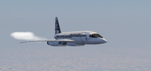 TU-144 in flight