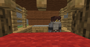 enterance3.PNG