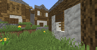 enterance2.PNG