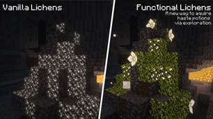 Mod Lichens