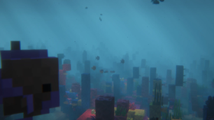 Warm Ocean
