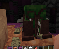 Zerg Egg Growing Inside of a Zerg Hatchery