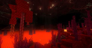 The nether