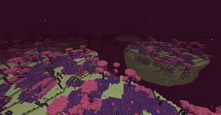 screen 5.png