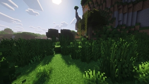 Marsh