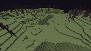 A Razed City