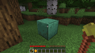 soap_use_copper.gif
