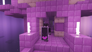 Ender Shield.png