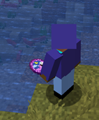Behind-View.png