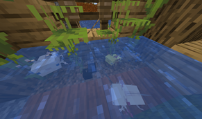 axolotls.png