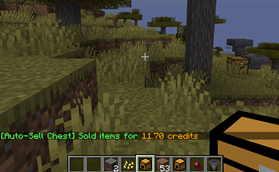 auto_sold.png