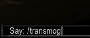 Slash Command