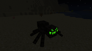 Friendly Spider