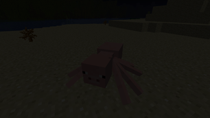 Pig Spider